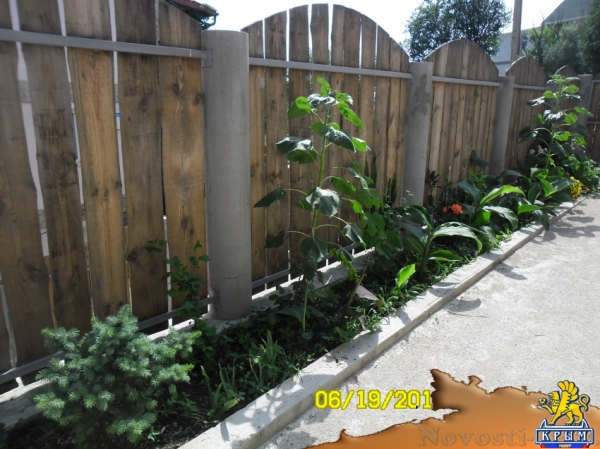 Отдых в Орджоникидзе. номер на даче Отдых в Крыму 2016 - жильё в Крыму без посредников - «Отдых в Орджоникидзе»