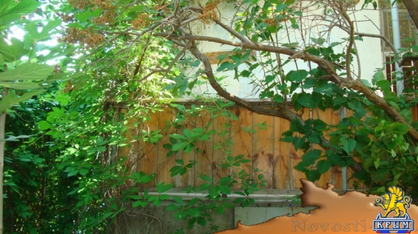 Отдых в Орджоникидзе. 1-к квартира, 41 м?, 1/2 эт. с верандой и двориком Орджоникидзе. Свободна с 06-23 августа. Отдых в Крыму 2016 - жильё в Крыму без посредников - «Отдых в Орджоникидзе»