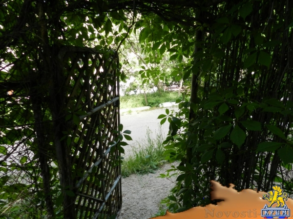 Отдых в Орджоникидзе. 1-к квартира, 41 м?, 1/2 эт. с верандой и двориком Орджоникидзе. Свободна с 06-23 августа. Отдых в Крыму 2016 - жильё в Крыму без посредников - «Отдых в Орджоникидзе»