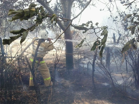 МЧС предупреждает: сухая трава быстро воспламеняется, огонь распространяется на большие площади и может переброситься к жилым домам и лесным массивам - «МЧС» МЧС предупреждает: сухая трава быстро воспламеняется, огонь распространяется на большие площади и может переброситься к жилым домам и лесным массивам - «МЧС»