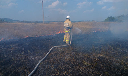 МЧС предупреждает: сухая трава быстро воспламеняется, огонь распространяется на большие площади и может переброситься к жилым домам и лесным массивам - «МЧС» МЧС предупреждает: сухая трава быстро воспламеняется, огонь распространяется на большие площади и может переброситься к жилым домам и лесным массивам - «МЧС»