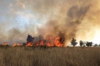 В Севастополе пьяный водитель джипа врезался в легковушку - «Новости Крыма»