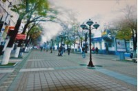 В Севастополе нашли немецкую листовку 1942 года - «Новости Крыма»