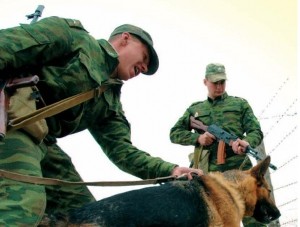 Сбытчика наркотиков задержали пограничники - «Происшествия Крыма» Сбытчика наркотиков задержали пограничники - «Происшествия Крыма»