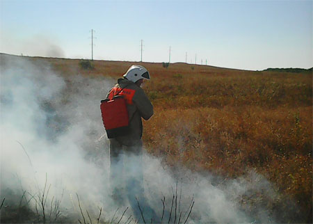 Крымские пожарные в течение двух суток ликвидировали 11 возгораний сухой растительности на больших территориях - «МЧС»