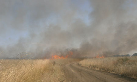 Крымские спасатели успешно ликвидировали возгорание в с. Горностаевка Ленинского района - «МЧС»