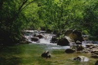 На ликвидацию свалок и плохих дорог Симферополь получил по 20 млн рублей - «Новости Крыма»