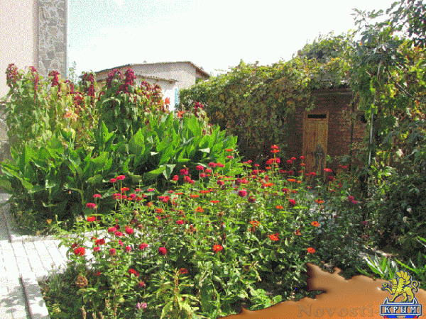 Отдых в Коктебеле. Отдых в коктебеле частный гостевой дом Отдых в Крыму 2016 - жильё в Крыму без посредников - «Отдых в Коктебеле»