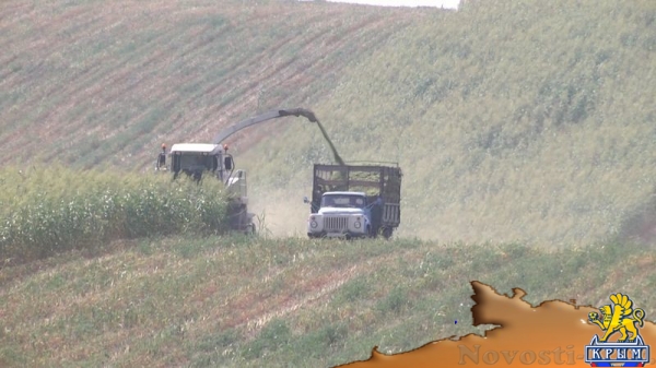 Академия биоресурсов и природопользования КФУ вошла в пятерку лидеров по показателям урожайности в Симферополе и Симферопольском районе (ФОТО) - «Экономика Крыма»