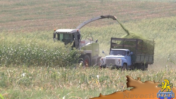 Академия биоресурсов и природопользования КФУ вошла в пятерку лидеров по показателям урожайности в Симферополе и Симферопольском районе (ФОТО) - «Экономика Крыма»