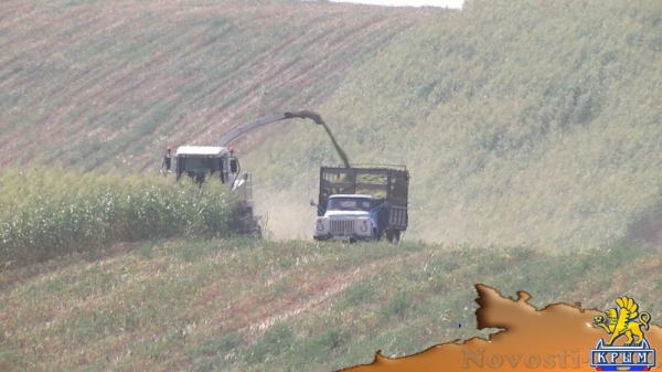 Академия биоресурсов и природопользования КФУ вошла в пятерку лидеров по показателям урожайности в Симферополе и Симферопольском районе (ФОТО) - «Экономика Крыма»