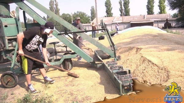 Академия биоресурсов и природопользования КФУ вошла в пятерку лидеров по показателям урожайности в Симферополе и Симферопольском районе (ФОТО) - «Экономика Крыма»
