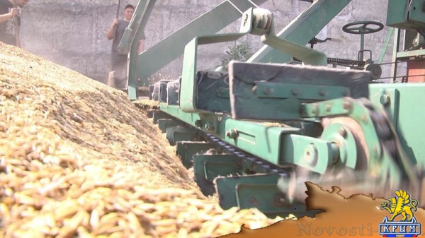 Академия биоресурсов и природопользования КФУ вошла в пятерку лидеров по показателям урожайности в Симферополе и Симферопольском районе (ФОТО) - «Экономика Крыма»