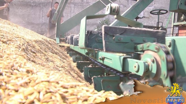 Академия биоресурсов и природопользования КФУ вошла в пятерку лидеров по показателям урожайности в Симферополе и Симферопольском районе (ФОТО) - «Экономика Крыма»