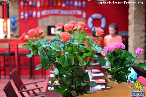 Отдых в Юркино. Отдых - другой Крым… Отдых в Крыму 2016 - жильё в Крыму без посредников - «Отдых в Крыму» Отдых в Юркино. Отдых - другой Крым… Отдых в Крыму 2016 - жильё в Крыму без посредников - «Отдых в Крыму»