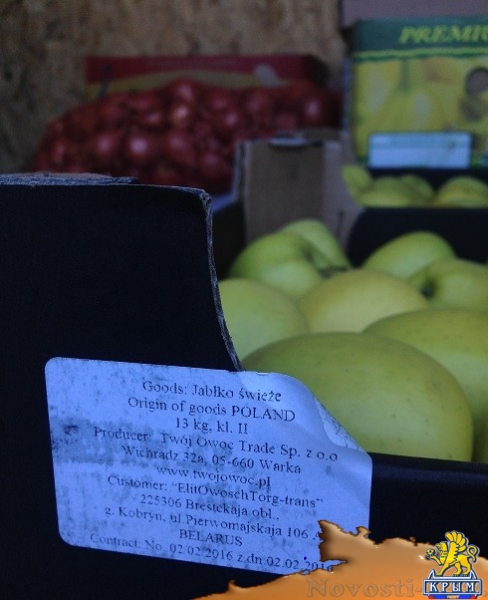 В Симферополе уничтожили более 70 кг польских яблок, найденных на складе в Севастополе (ФОТО)  - «Происшествия»