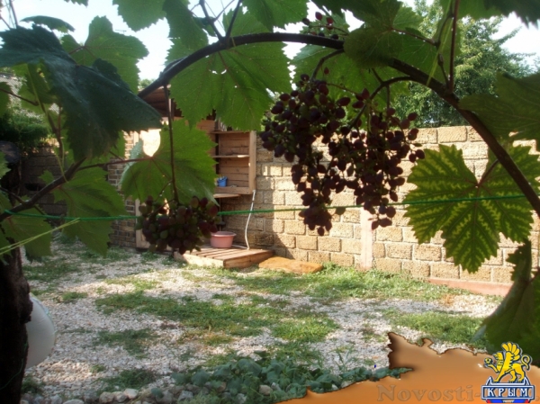 Отдых в Береговом. Отдельный дом .50 метров от Золотого Пляжа пос Береговое Отдых в Крыму 2016 - жильё в Крыму без посредников - «Отдых в Береговом»