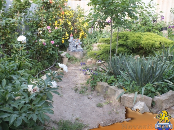 Отдых в Орджоникидзе. двухкомнатный гостевой дом "Сказка" . Все удобства 5 мин до моря Отдых в Крыму 2016 - жильё в Крыму без посредников - «Отдых в Орджоникидзе»