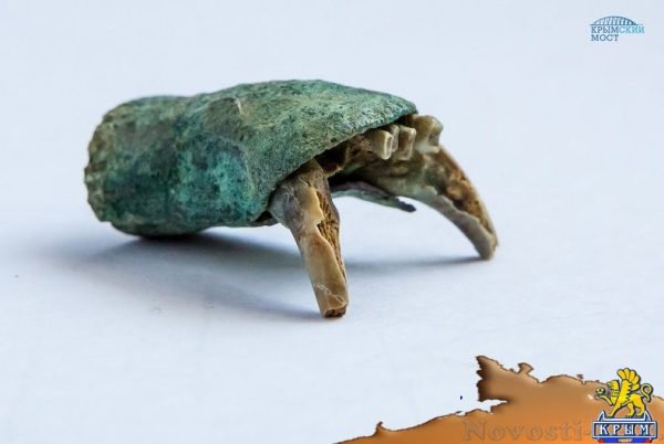 На месте будущего строительства подъездной дороги к Крымскому мосту археологи обнаружили клад серебряных монет (ФОТО)  - «Культура»