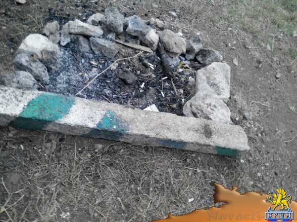 Керчанка обеспокоена гибелью деревьев в городе и его окрестностях - «Керчь»