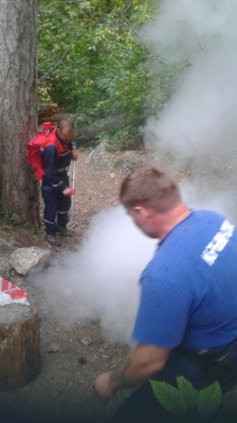 Ситуация с пожарной безопасностью на полуострове держится под контролем МЧС - «МЧС»