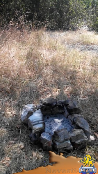 Активисты предлагают сделать отдых в Приморском парке цивилизованным - «Керчь»