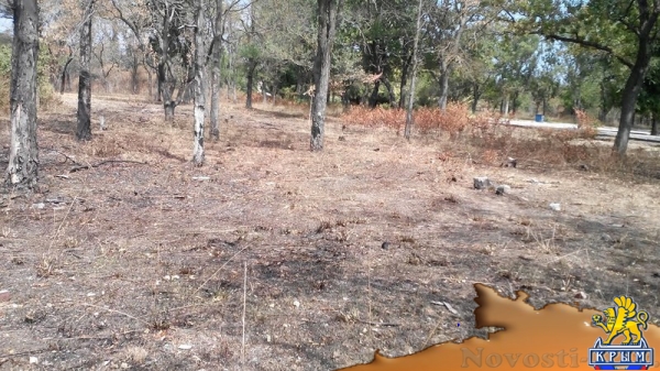 Активисты предлагают сделать отдых в Приморском парке цивилизованным - «Керчь»