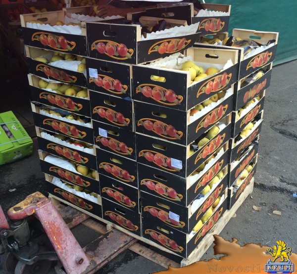 На рынке Симферополя обнаружено почти полтонны запрещенных груш (ФОТО) - «Симферополь»
