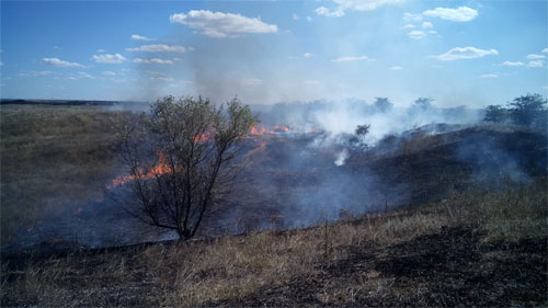 Крымские пожарные продолжают ликвидировать загорания сухой растительности - «МЧС»