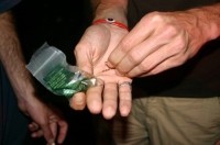 В Ялте мужчина разрубил топором свою мать - «Новости Крыма»