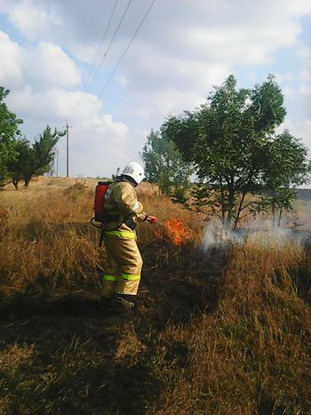 За прошедшие сутки подразделения «Пожарной охраны Республики Крым» 7 раз привлекались для тушения огня - «МЧС» За прошедшие сутки подразделения «Пожарной охраны Республики Крым» 7 раз привлекались для тушения огня - «МЧС»