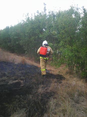 За прошедшие сутки подразделения «Пожарной охраны Республики Крым» 7 раз привлекались для тушения огня - «МЧС» За прошедшие сутки подразделения «Пожарной охраны Республики Крым» 7 раз привлекались для тушения огня - «МЧС»