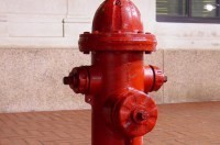 В Севастополе суд отправил за решетку полицейских, покалечивших юношу - «Новости Крыма»