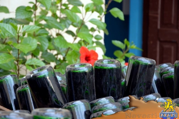 Новое премиальное шампанское завода «Новый Свет» – «Золотой Рислинг Крыма» – поступит в продажу на следующей неделе (ФОТО) - «Спорт Крыма»