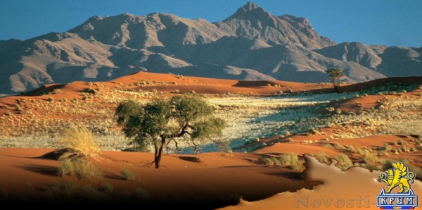 Страны, с которыми у России неожиданно есть безвизовый режим (ФОТО) - «Симферополь»