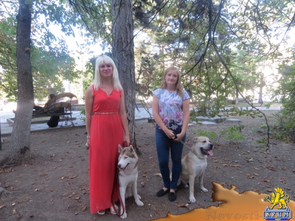 В ходе осеннего литературного фестиваля «КрымБукФест-2016» в центре Симферополе прошла культурно-просветительская акция «БиблиоСквер; книга, культура, досуг» (ФОТО) - «Общество Крыма»