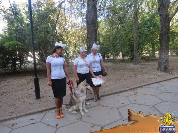 В ходе осеннего литературного фестиваля «КрымБукФест-2016» в центре Симферополе прошла культурно-просветительская акция «БиблиоСквер; книга, культура, досуг» (ФОТО) - «Общество Крыма»