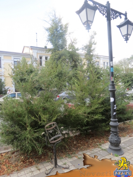 В Симферополе вандалы ломают скамейки и разрушают тротуар на улице Горького. При попустительстве полиции? (ФОТО) - «Происшедствия Крыма» В Симферополе вандалы ломают скамейки и разрушают тротуар на улице Горького. При попустительстве полиции? (ФОТО) - «Происшедствия Крыма»