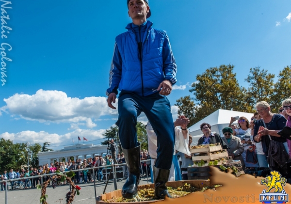 В центре Севастополя презентовали «Вкус Крыма» (ФОТО) - «Общество Крыма»