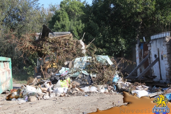 В Симферополе коммунальщики ликвидировали стихийную свалку мусора в микрорайоне Анатра. Под присмотром заместителя министра экологии и природных ресурсов Крыма (ФОТО) - «Экономика Крыма»