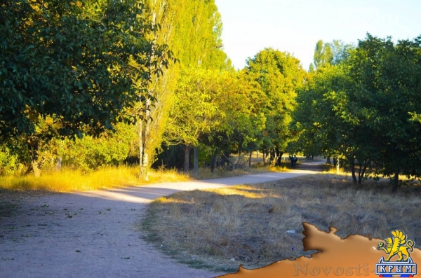 Осенний ботанический сад им. Н.В. Багрова (ФОТО) - «Симферополь»