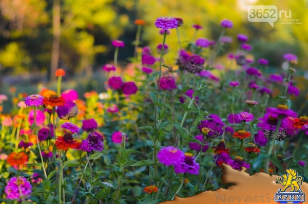 Осенний ботанический сад им. Н.В. Багрова (ФОТО) - «Симферополь»