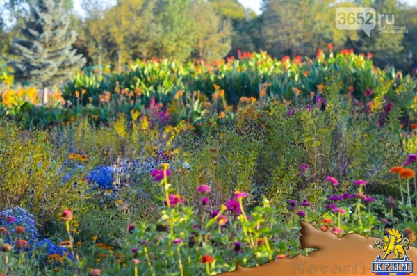 Осенний ботанический сад им. Н.В. Багрова (ФОТО) - «Симферополь»