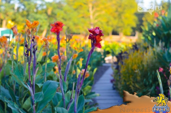 Осенний ботанический сад им. Н.В. Багрова (ФОТО) - «Симферополь»