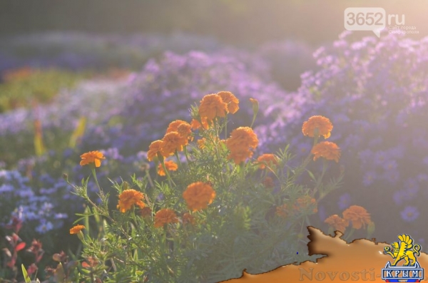 Осенний ботанический сад им. Н.В. Багрова (ФОТО) - «Симферополь»