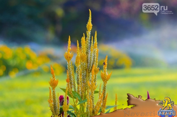 Осенний ботанический сад им. Н.В. Багрова (ФОТО) - «Симферополь»