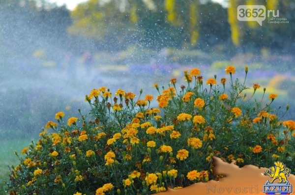 Осенний ботанический сад им. Н.В. Багрова (ФОТО) - «Симферополь»