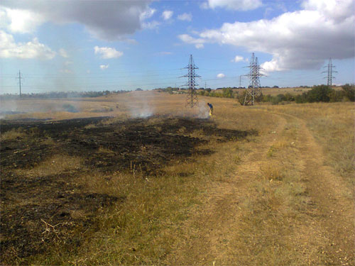 На прошедших выходных подразделения «Пожарной охраны Республики Крым» 8 раз привлекались для ликвидации огня - «МЧС» На прошедших выходных подразделения «Пожарной охраны Республики Крым» 8 раз привлекались для ликвидации огня - «МЧС»