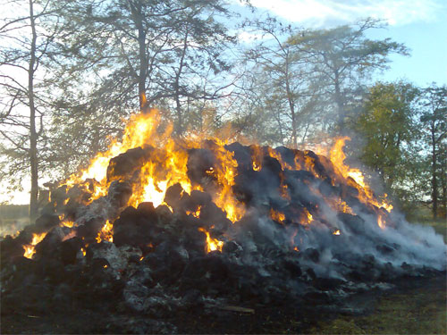 На прошедших выходных подразделения «Пожарной охраны Республики Крым» 8 раз привлекались для ликвидации огня - «МЧС» На прошедших выходных подразделения «Пожарной охраны Республики Крым» 8 раз привлекались для ликвидации огня - «МЧС»