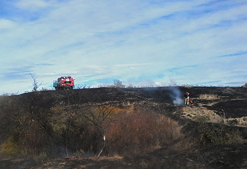 В течение суток пожарные 5 раз тушили горящую траву на открытой территории - «МЧС» В течение суток пожарные 5 раз тушили горящую траву на открытой территории - «МЧС»